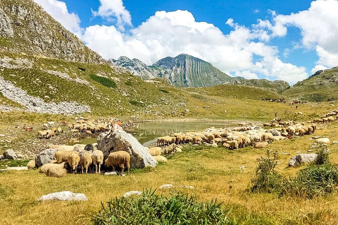 1-Day Montenegro Hiking Tour to Durmitor National Park - Prutaš or Crvena Greda, the high point of the day