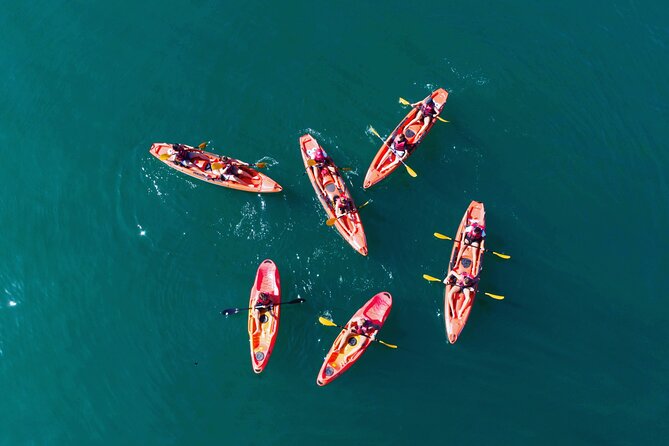 3 Hours Kayaking in Kotor Bay in Montenegro - Key points to know before paddling