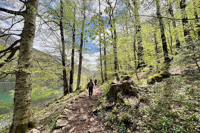 Biogradska Gora National Park Tour with Optional Add-Ons - Adding Moraca Monastery for Sacred Art