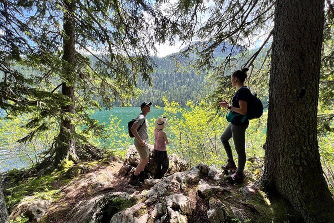 Biogradska Gora National Park Tour with Optional Add-Ons - Price, Timing and Who Gets the Best Value
