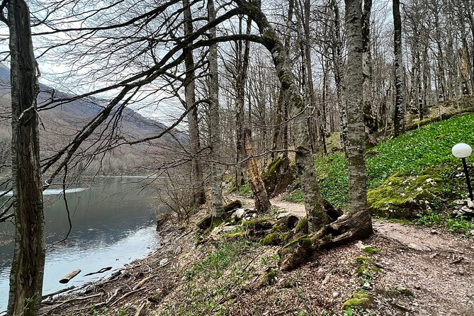 Biogradska Gora National Park Tour with Optional Add-Ons - Practical Tips for a Smoother Day