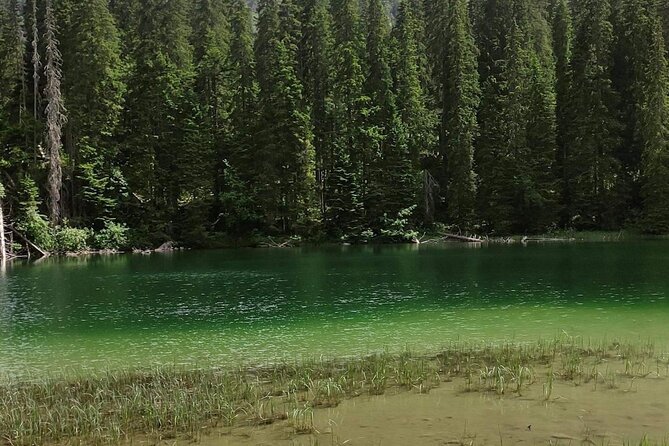 Biogradska Gora National Park Tour with Optional Add-Ons - Taking the Easy Path Around Lake Biograd