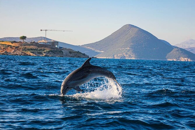 Blue Cave Kotor & Lady of the Rocks Private Tour (up to 9 people) - Mamula Island adds a striking military stop