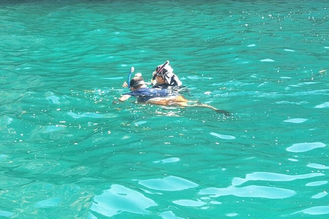 Blue Cave, Lady of Rocks , Perast and Mamula Speedboattour MW - Key points at a glance