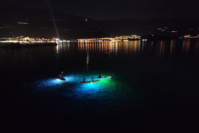 Budva: 2-Hour «Night Lights» Kayak Tour - Guide, group size, and pace