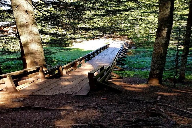Durmitor National Park hiking tour - easy to moderate - Starting at Black Lake near Žabljak