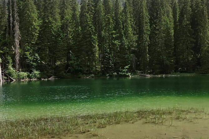 Durmitor National Park hiking tour - easy to moderate - Bosača, a small village with a slower pace