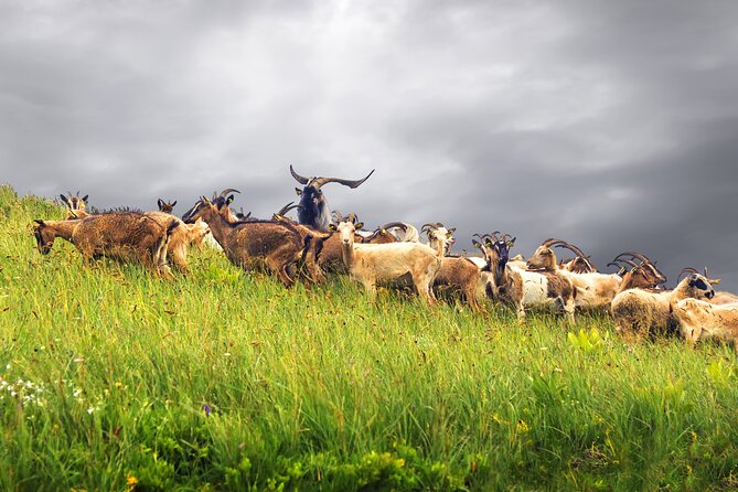 Durmitor National Park hiking tour - easy to moderate - The payoff at Crvena Stijena