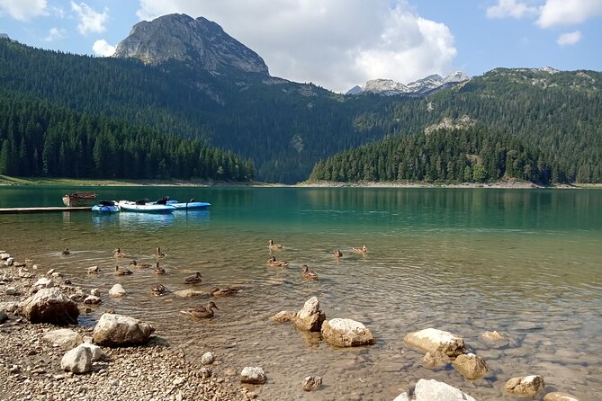 Durmitor NP private tour- Among Katuns, Shepherds and Geological Miracles - From Podgorica to the high country