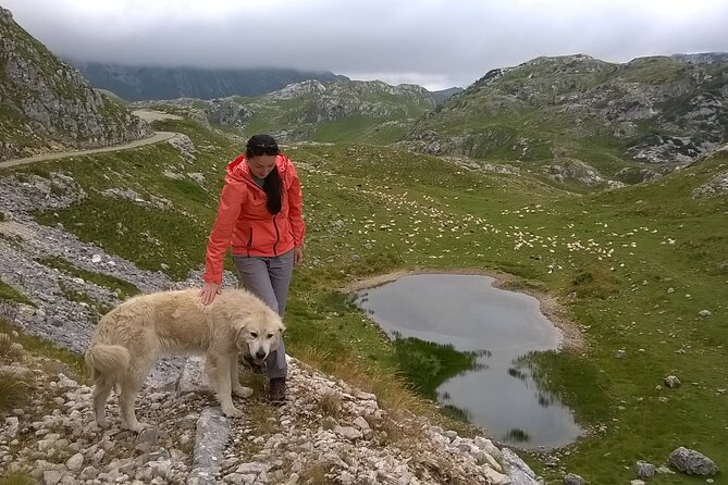 Durmitor NP private tour- Among Katuns, Shepherds and Geological Miracles - Finishing at Black Lake