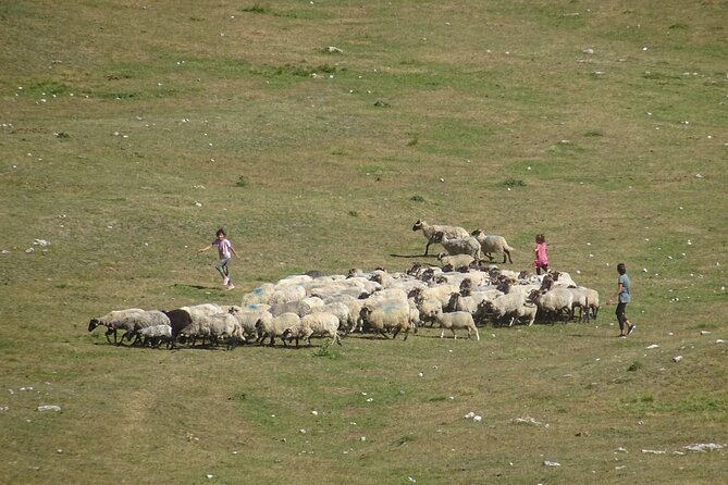 Durmitor NP private tour- Among Katuns, Shepherds and Geological Miracles - Is $173.64 a fair price?