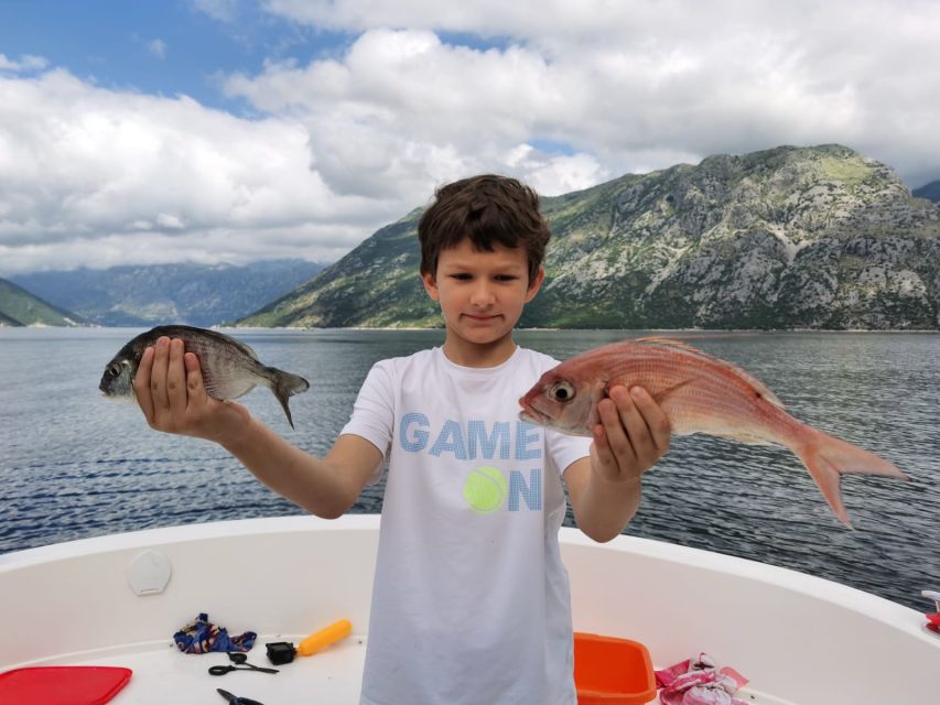 From Bay of Kotor: Blue Cave Private Speedboat Tour - Forty-Five Minutes at Žanjic Beach