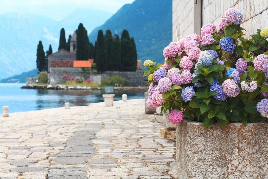 From Dubrovnik: Montenegro Highlights Day Tour - Practical comfort, access, and border details