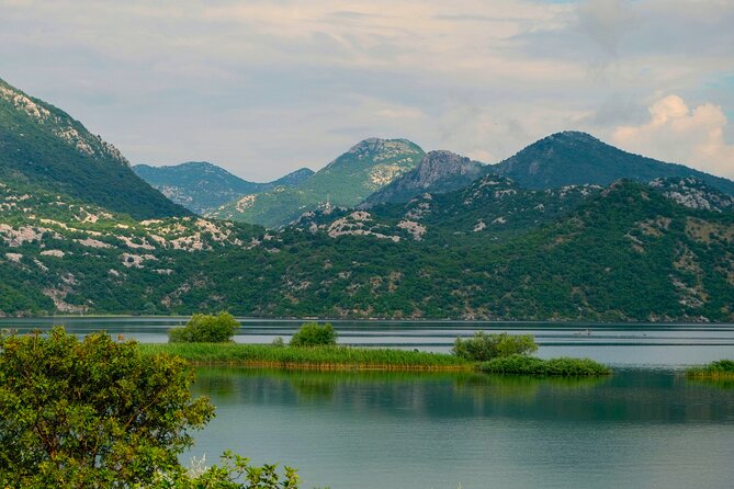 From Virpazar: Visit Karuč, the hidden pearl of Lake Skadar - Leaving Virpazar through the reeds