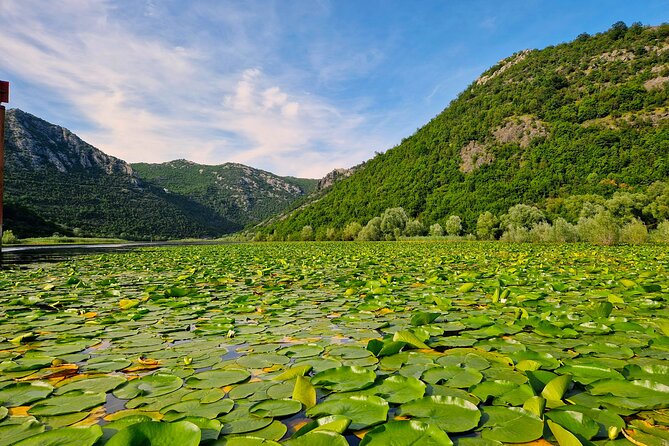 From Virpazar: Visit Karuč, the hidden pearl of Lake Skadar - Vranjina and the wide view across Lake Skadar