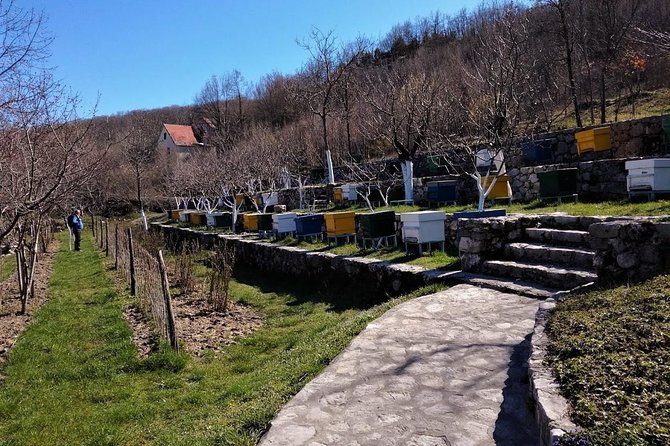 Gastronomy and Sightseeing in Montenegro - Lake Skadar & Cetinje Private Tour - Key points to know before booking
