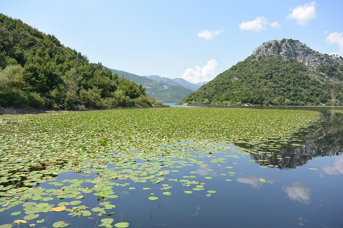Gastronomy and Sightseeing in Montenegro - Lake Skadar & Cetinje Private Tour - Who will enjoy this private tour most