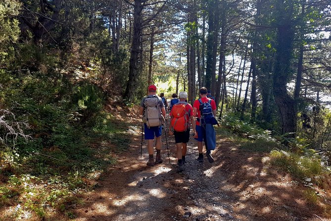 Hiking Vrmac peninsula with panoramic view on Kotor bay - The Views Toward Kotor and Tivat