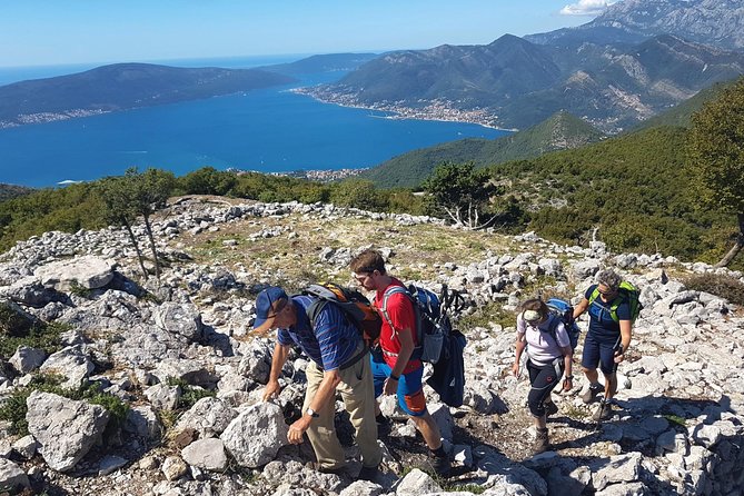 Hiking Vrmac peninsula with panoramic view on Kotor bay - What the Five to Six Hours Really Include