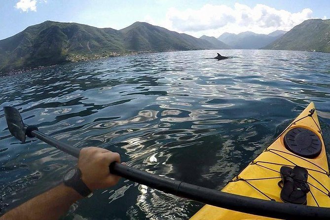 Kayak active tour - Paddling out from Kotor’s port