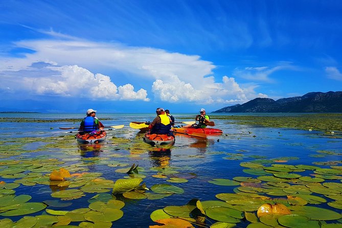 Kayak Guided Tour Skadar lake - Adventure in National park - What the four-hour format means for value