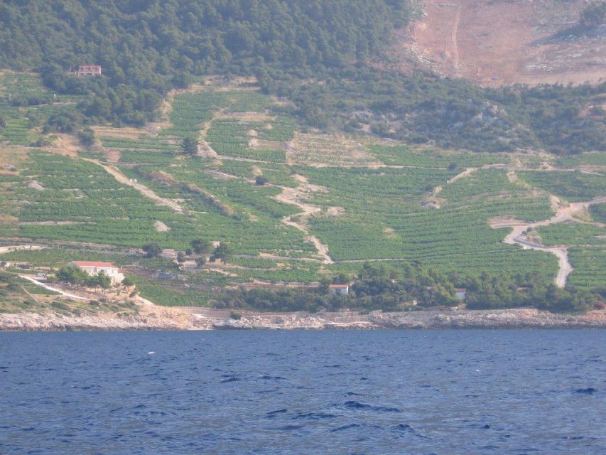 Korčula & Ston Full-Day Private Tour from Dubrovnik - Why this Dubrovnik day trip works