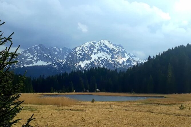 Kotor Tour to Durmitor - Black Lake & Tara River Bridge - Should you add the Tara zip line?