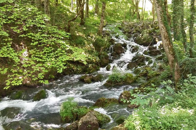 Moraca, Tara & Piva canyons with Durmitor national park - Crno Lake in Durmitor National Park