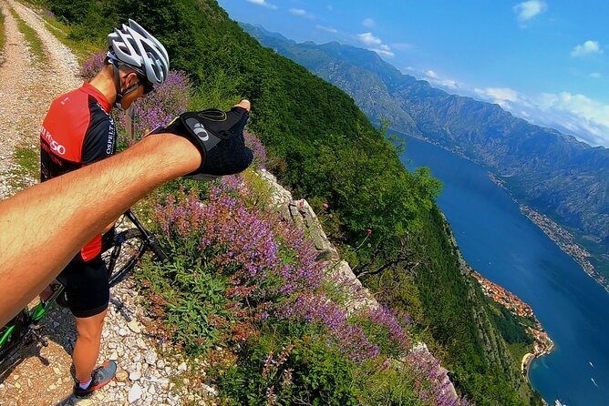 Mountain Biking on Vrmac peninsula - Panoramic view on Kotor bay - What $113.18 buys you