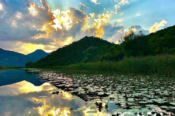 Noah's Ark Skadar Lake Journey - Lake Skadar from the water at an easy price