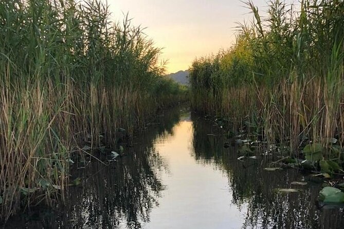 Noah's Ark Skadar Lake Journey - Poseljani and the quieter side of the lake