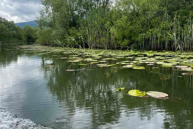 Noah's Ark Skadar Lake Journey - Virpazar gives the outing a village center
