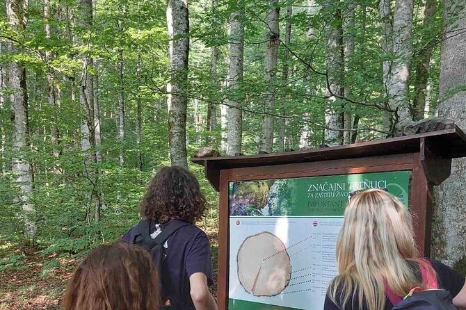 NORTH TOUR Np Biograd Gora-Lake-Moraca Canyon & Monastery-Kolasin - Moraca Monastery and the yellow-stone legend