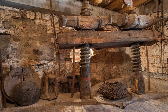 Olive oil farm to fork experience & short walking tour of Kotor - Learning to taste olive oil