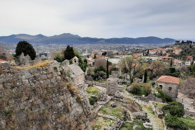 Port of Bar tour - Explore Adriatic area - Bar and Ulcinj tour - The old olive tree: a ten-minute stop with a huge age