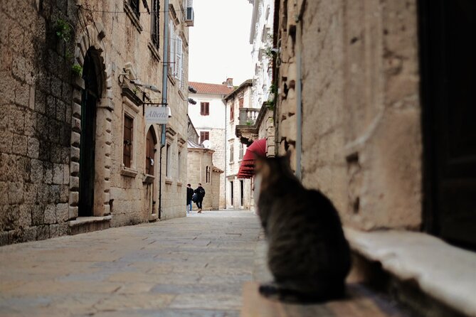 Port of Kotor - Kotor-Perast-Our lady of the rocks private tour - What the private vehicle and guide add