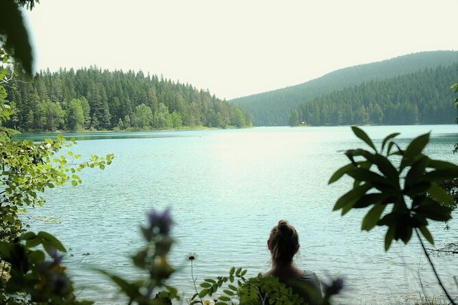 Private Durmitor National Park and Black Lake Tour - Reaching Đurđevića Tara Bridge