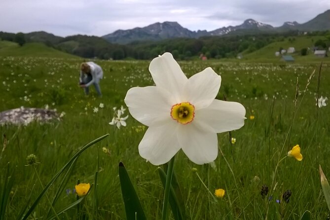 Private Full-Day Tour in Moraca and Tara Canyons, Durmitor & Biogradska Gora NP - Tara Canyon brings bigger drama and optional zip lining