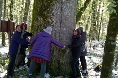 Private Full-Day Tour in Moraca and Tara Canyons, Durmitor & Biogradska Gora NP