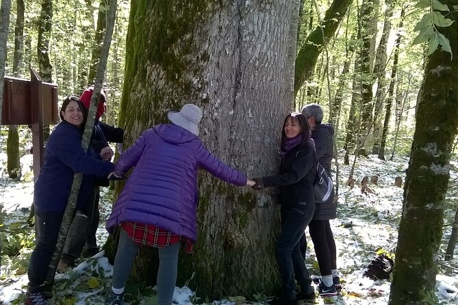 Private Full-Day Tour in Moraca and Tara Canyons, Durmitor & Biogradska Gora NP - Biogradska Gora is the calmest stop