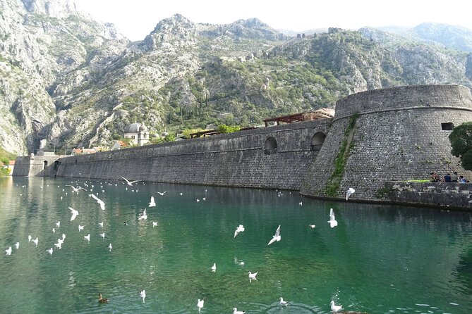 Private Full-Day Tour -Kotor tour, Saint Stefan & NP Skadar Lake - Cancellation and Weather Considerations