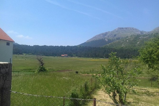 Private National Park Lovcen with food and wine tasting - Njegusi, where the tasting becomes personal