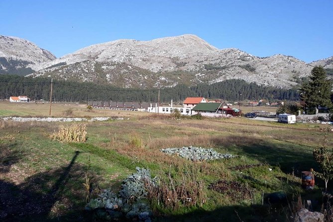 Private tour: Homemade food and wine tasting at my family home - Key points to know before booking