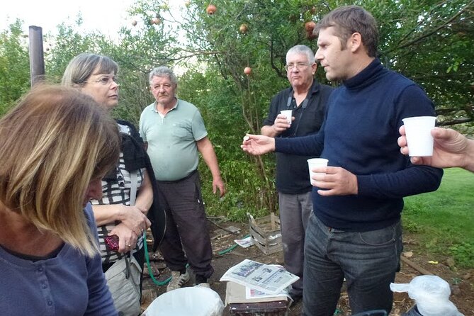 Private Tour in Ostrog Monastery, Doclea and Nature Park Zeta - My booking advice