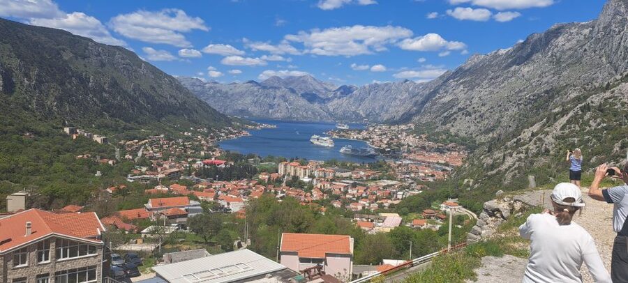 Private Tour: Montenegro Day Trip from Dubrovnik - Who should book this day out