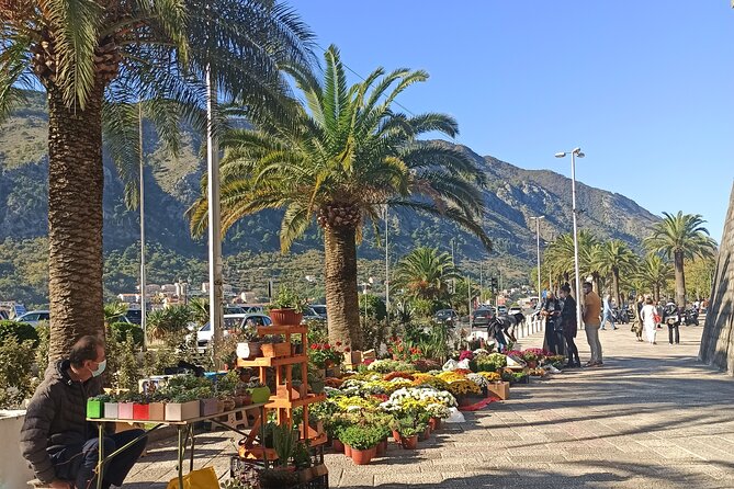 Private Walking tour with Wine and Food - Who will enjoy this tour most