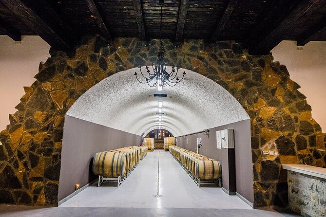 Private Wine Tasting Activity at Lipovac Winery - The vineyard and Montenegro’s native grapes