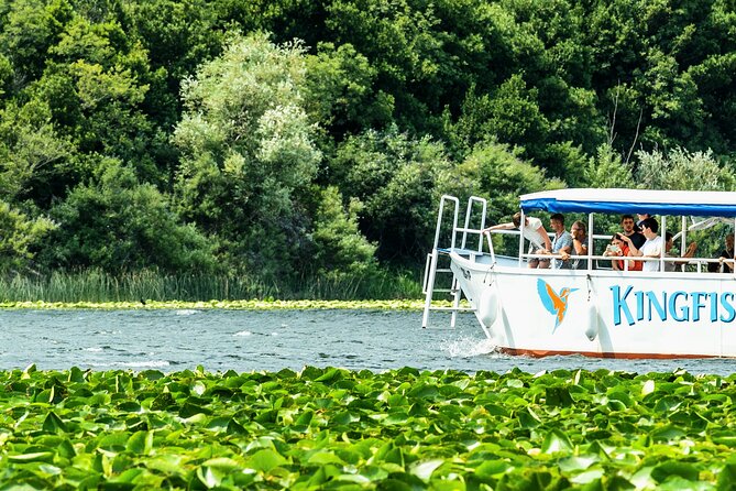 Skadar Lake & Crnojevića River: Swimming, Snacks & Wine - Wine, rakija, and priganice on the return route