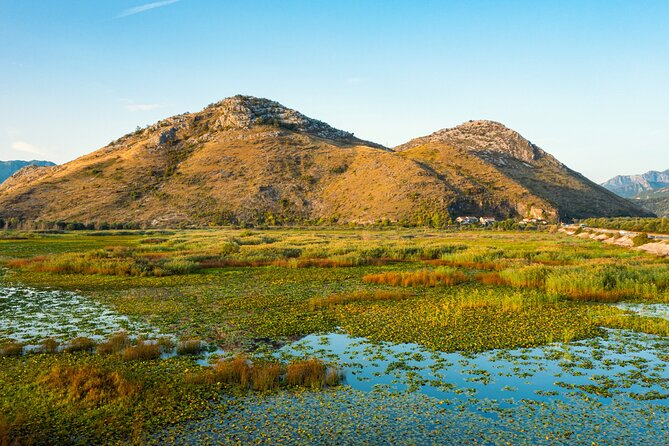 Skadar Lake National Park Guided Boat Tour with Wooden Boat - A swim in Lake Skadar, followed by wine