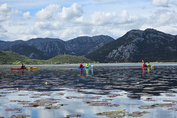Skadar Lake on kayaks Experience with Spectacular Views - Key points to know before you book